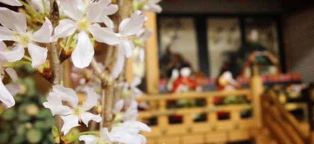yayoi-tsukiji