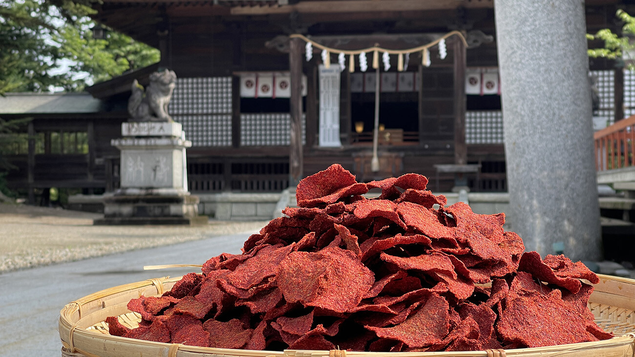 谷地八幡宮と最上紅花